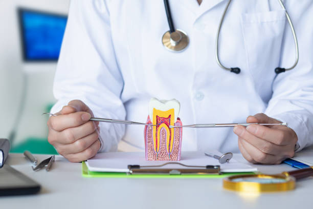 Best Emergency Cosmetic Dentistry in North Plainfield, NJ
